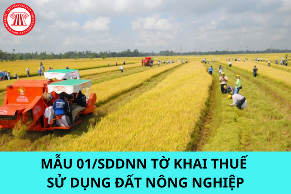 Mẫu 01/SDDNN tờ khai thuế sử dụng đất nông nghiệp năm 2023
