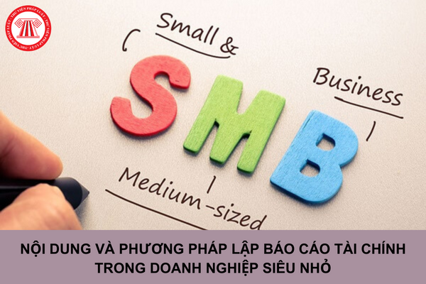 Nội dung và phương pháp lập báo cáo tài chính của doanh nghiệp siêu nhỏ 2023 (Phần 1)
