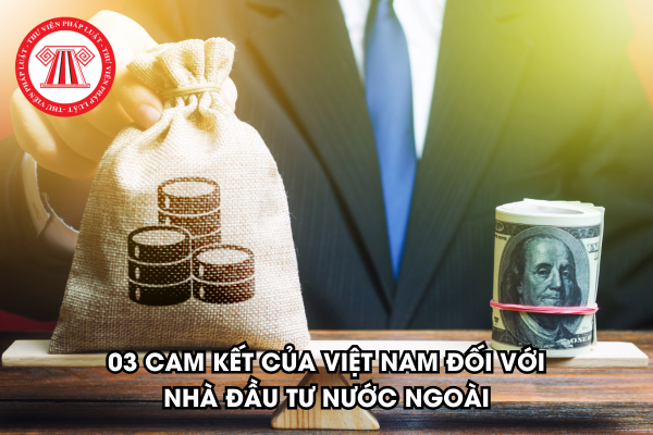 03 cam kết của Việt Nam để bảo vệ và hỗ trợ nhà đầu tư nước ngoài