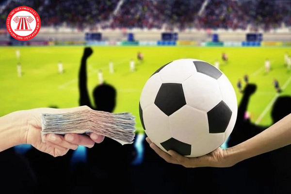Kinh doanh đặt cược bóng đá quốc tế tại Việt Nam phải qua đấu thầu
