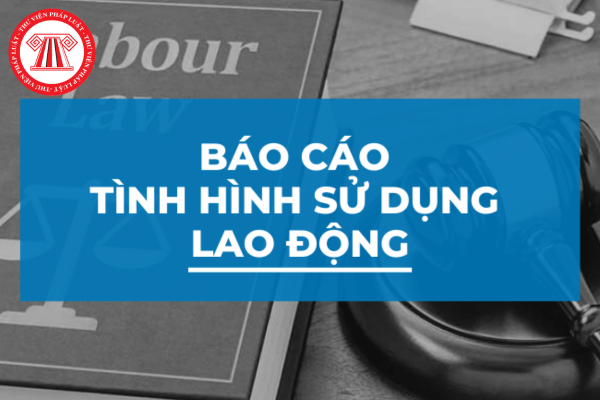 TPHCM: Hạn chót nộp báo cáo tình hình sử dụng lao động 2024 là trước 05/12/2024