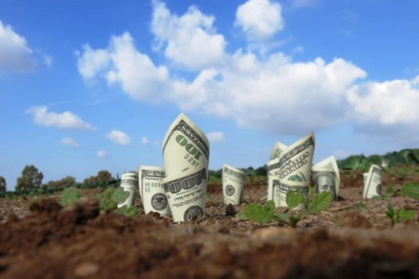 Tải về hồ sơ đề nghị giảm tiền thuê đất năm 2025