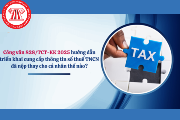 Cung cấp thông tin số thuế TNCN đã nộp thay