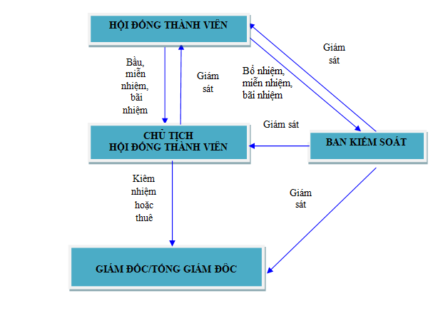 Chia sẻ với hơn 71 về mô hình công ty tnhh 2 thành viên hay nhất