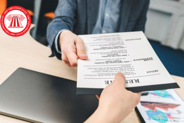 Mẫu CV xin việc đơn giản 2024