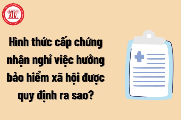 Lao Động Tiền Lương