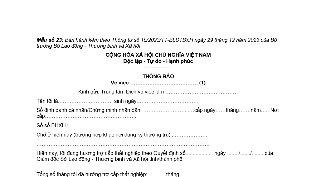 Mẫu số 23