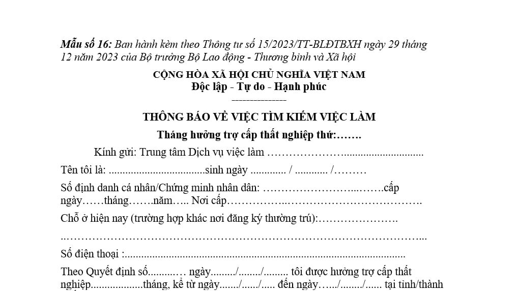 Mẫu số 16