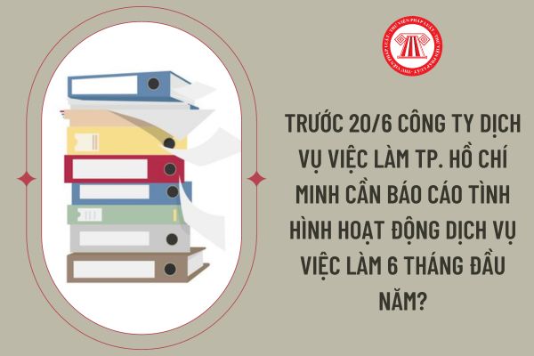 Trước 20/6 công ty dịch vụ việc làm Tp. Hồ Chí Minh cần báo cáo tình hình hoạt động dịch vụ việc làm 6 tháng đầu năm?