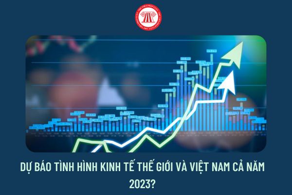 Dự báo tình hình kinh tế thế giới và Việt Nam cả năm 2023?