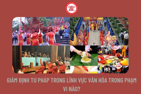 Giám định tư pháp trong lĩnh vực văn hóa trong phạm vi nào?