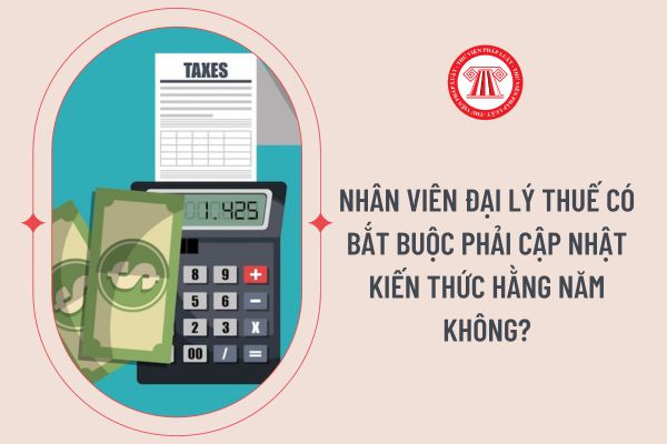 Nhân viên đại lý thuế có bắt buộc phải cập nhật kiến thức hằng năm không?