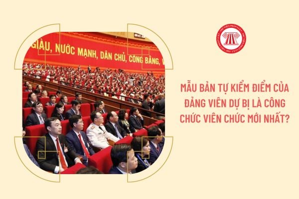 Mẫu bản tự kiểm điểm của đảng viên dự bị là công chức viên chức mới nhất?