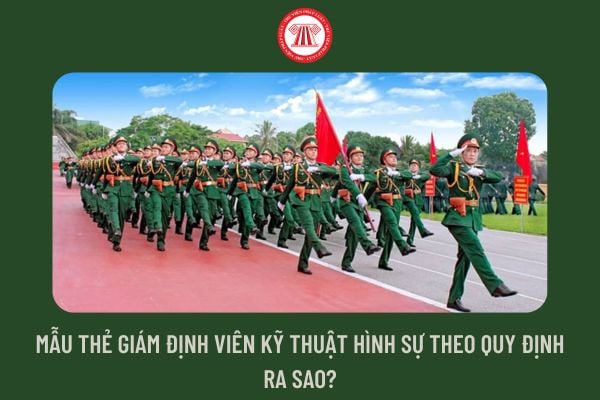 Mẫu thẻ giám định viên kỹ thuật hình sự theo quy định ra sao?