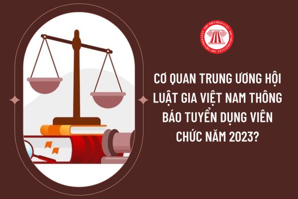Cơ quan Trung ương Hội luật gia Việt Nam thông báo tuyển dụng viên chức năm 2023?