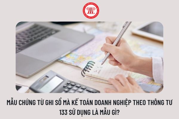 Mẫu chứng từ ghi sổ mà kế toán doanh nghiệp theo Thông tư 133 sử dụng là mẫu gì?