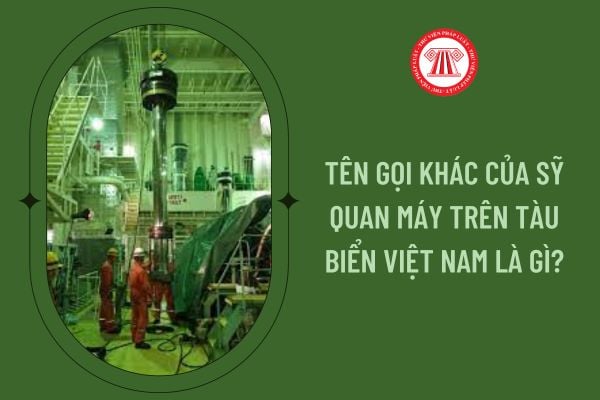 Tên gọi khác của Sỹ quan máy trên tàu biển Việt Nam là gì?