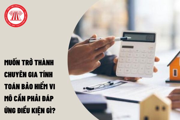 Muốn trở thành Chuyên gia tính toán bảo hiểm vi mô cần phải đáp ứng điều kiện gì?