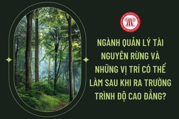 Ngành quản lý tài nguyên rừng và những vị trí có thể làm sau khi ra trường trình độ cao đẳng?