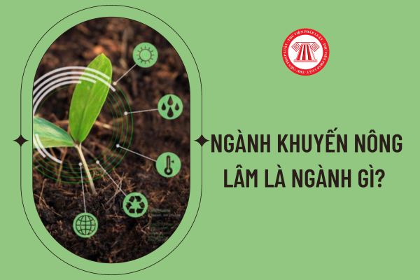 Ngành khuyến nông lâm là ngành gì? 