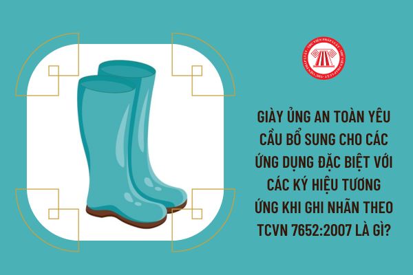 Giày ủng an toàn yêu cầu bổ sung cho các ứng dụng đặc biệt với các ký hiệu tương ứng khi ghi nhãn theo TCVN 7652:2007 là gì?