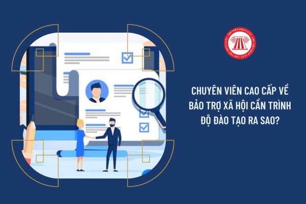 Chuyên viên cao cấp về bảo trợ xã hội cần trình độ đào tạo ra sao?