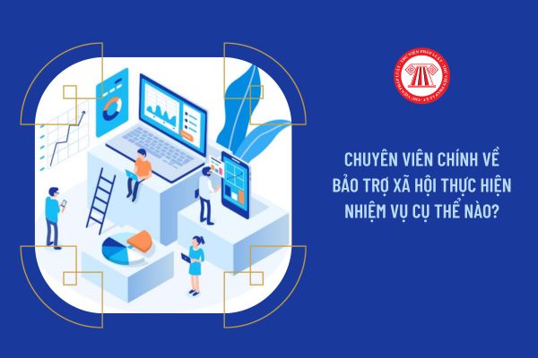 Chuyên viên chính về bảo trợ xã hội thực hiện nhiệm vụ cụ thể nào?