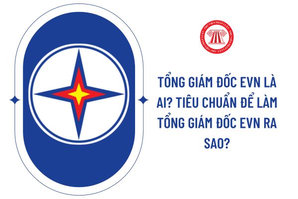 Tổng giám đốc EVN là ai? Tiêu chuẩn để làm Tổng giám đốc EVN ra sao?