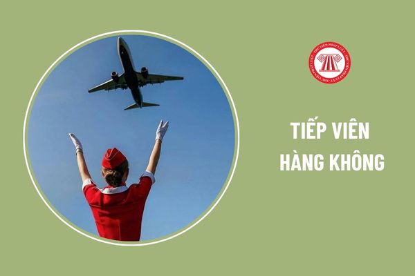 Tiếp viên hàng không lợi dụng vị trí làm việc để buôn lậu sẽ bị tạm đình chỉ công việc ngay lập tức đúng không?