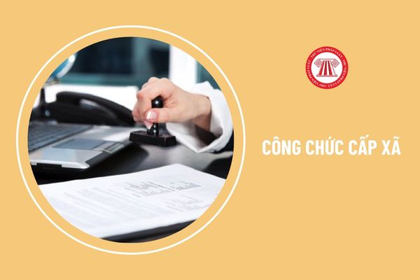 Công chức cấp xã có bắt buộc phải có bằng đại học không?