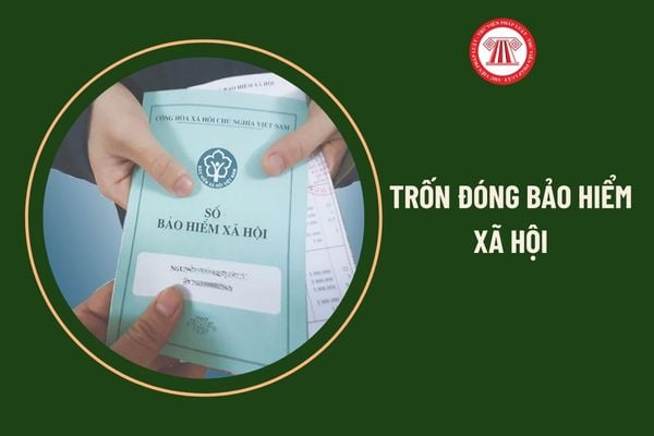 hành vi trốn đóng bảo hiểm xã hội là gì