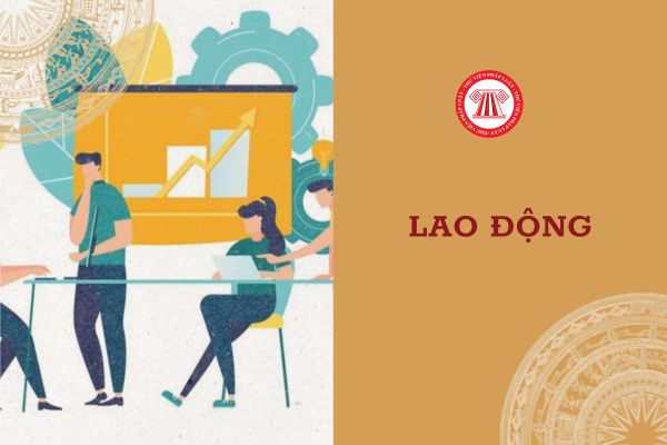 Nội dung thu thập thông tin về cầu lao động gồm những nội dung gì?