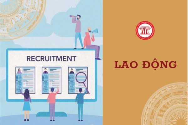 Bản tóm tắt trình độ học vấn và kinh nghiệm là gì? Làm giả thông tin xin việc người lao động bị xử lý thế nào?