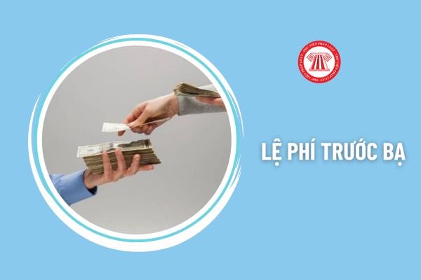 Pháp luật