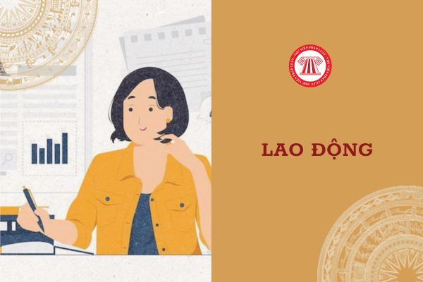 Cung cấp hợp đồng đào tạo nghề không đầy đủ thông tin công ty phạt cao nhất bao nhiêu tiền?