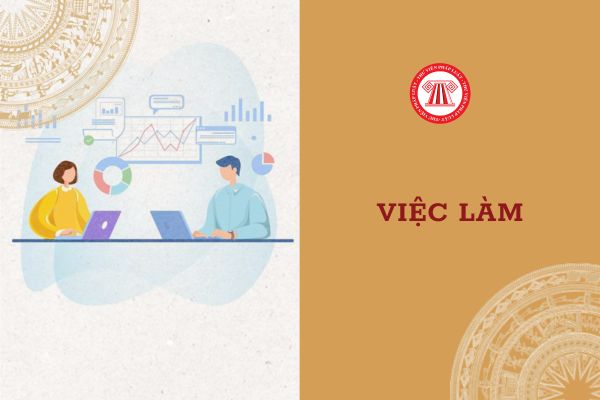 06 Nội dung quản lý nhà nước về việc làm theo Luật Việc làm mới nhẩt là gì?