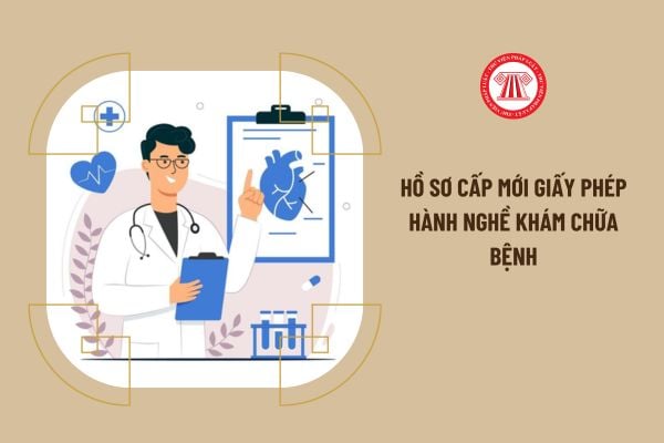 Hồ sơ cấp mới giấy phép hành nghề khám chữa bệnh