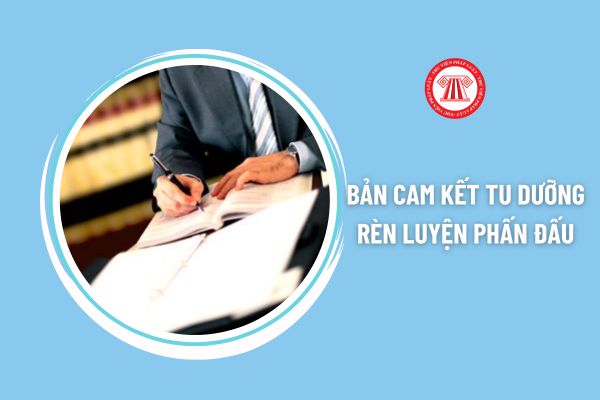 Bản cam kết tu dưỡng rèn luyện phấn đấu năm 2024 của Đảng viên là công chức viên chức có thay đổi gì không?