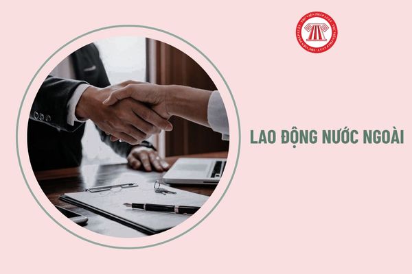 Lao động nước ngoài làm việc tại Việt Nam dưới hình thức tình nguyện viên không?