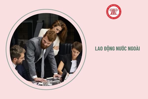 Người lao động nước ngoài làm tại Việt Nam dưới hình thức tình nguyện viên thì có hưởng lương không?