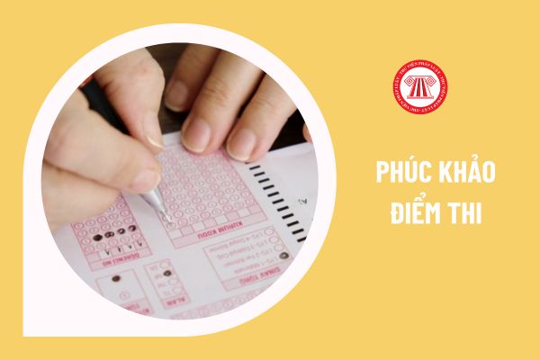 Mẫu đơn xin phúc khảo bài thi tốt nghiệp THPT 2024 có dạng ra sao? Ban Phúc khảo sẽ kiểm tra những gì khi tiến hành phúc khảo? 