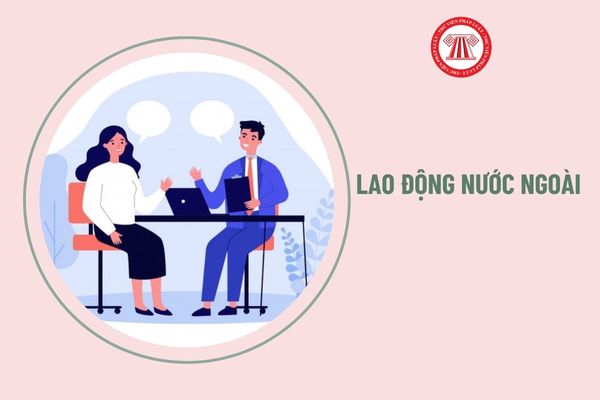 Người lao động nước ngoài bao nhiêu tuổi mới được làm việc tại Việt Nam?