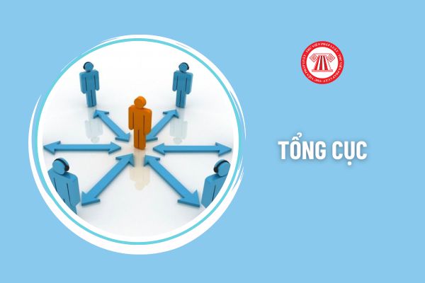 Các Tổng cục và tổ chức tương đương tại Việt Nam gồm những đơn vị nào? Tổng cục trưởng cần có năng lực gì?