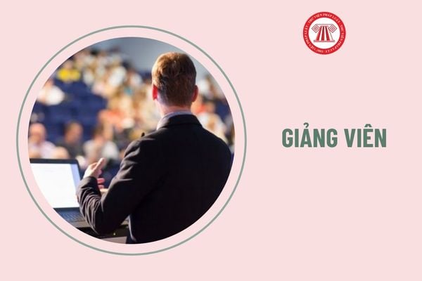 Giảng viên cao cấp hạng 1 cần có những năng lực gì để đảm nhận vị trí việc làm?