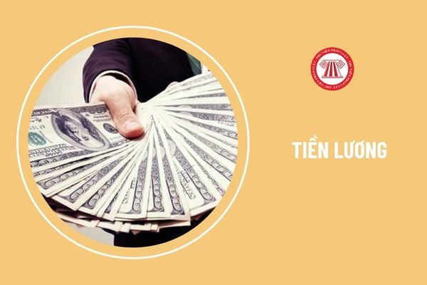 Công ty trả lương cho lao động nước ngoài bằng tiền Việt Nam trong trường hợp nào?