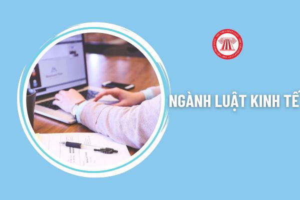 Ngành Luật kinh tế là gì? Mức lương khi học ngành Luật kinh tế là bao nhiêu?