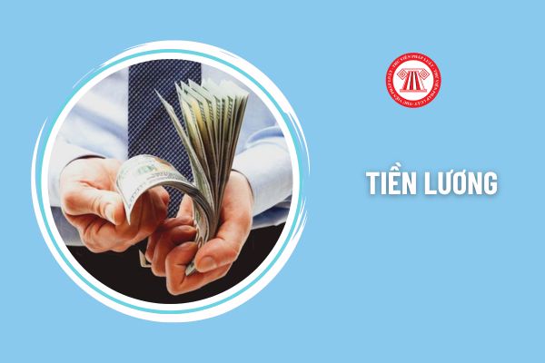 Tăng giảm mức lương cơ sở 2,34 thêm lần nữa hay bỏ mức lương cơ sở từ sau 2026?