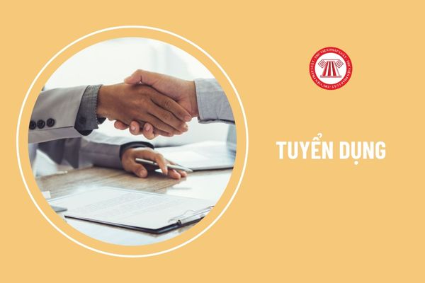 Phiếu thông tin ứng viên mới nhất dành cho người tuyển dụng có mẫu ra sao?