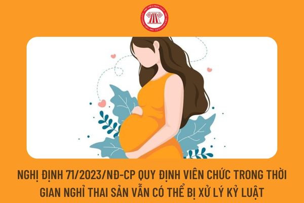 Nghị định 71/2023/NĐ-CP quy định viên chức trong thời gian nghỉ thai sản vẫn có thể bị xử lý kỷ luật