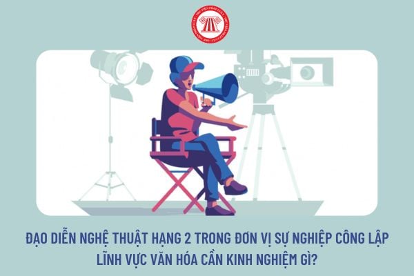 Đạo diễn nghệ thuật hạng 2 trong đơn vị sự nghiệp công lập lĩnh vực văn hóa cần kinh nghiệm gì?